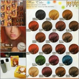 Issteru DIY Color Hair Dye 25ml (HALAL)